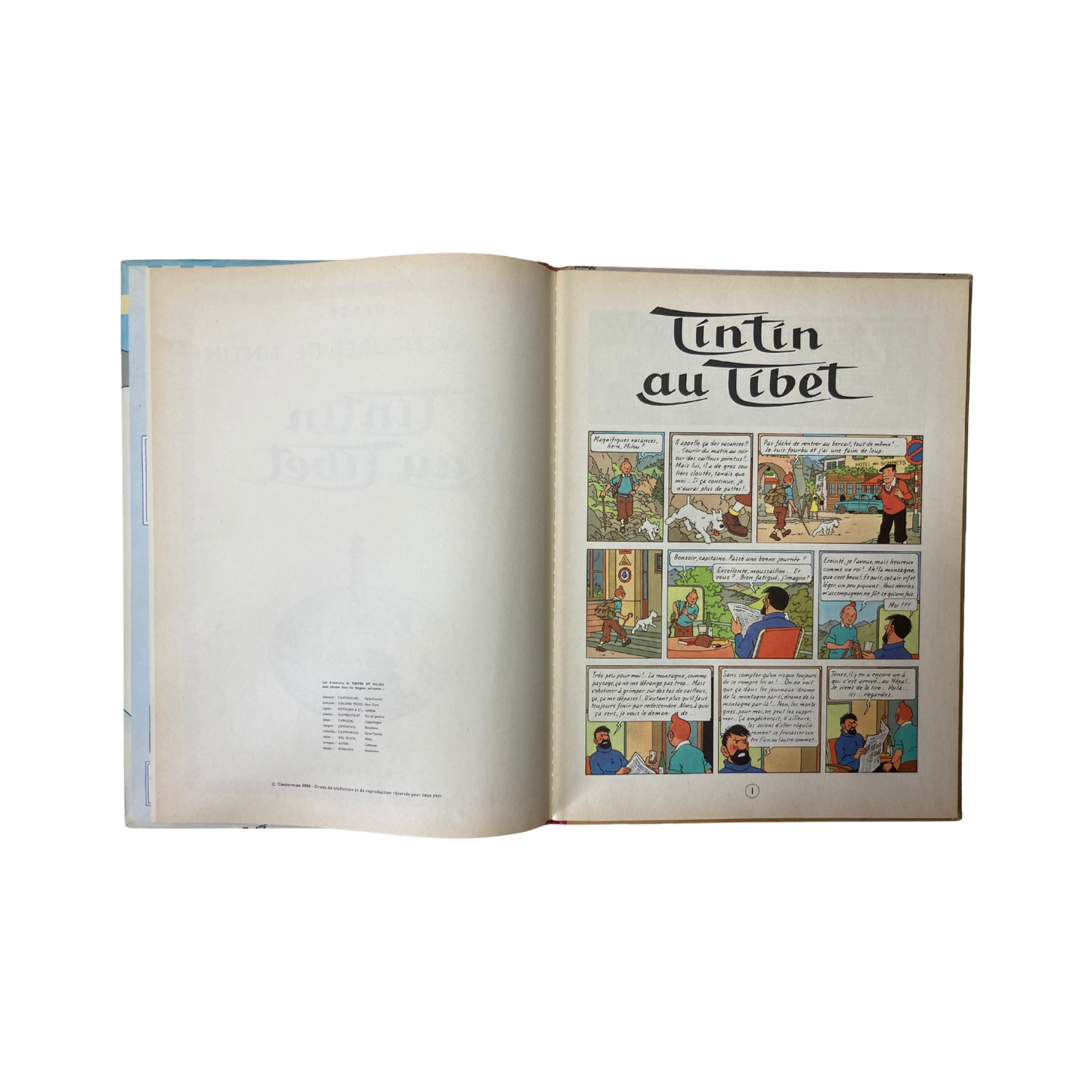 Page de couverture du livre "Les Aventures de Tintin : Tintin au Tibet" par Hergé, illustrée avec Tintin et le chien Milou.