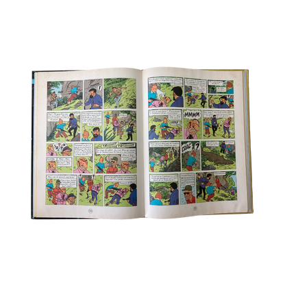 Couverture du livre "Les Aventures de Tintin : Vol 714 pour Sydney" par Hergé, publié par Espace714, illustrée avec Tintin et le planeur