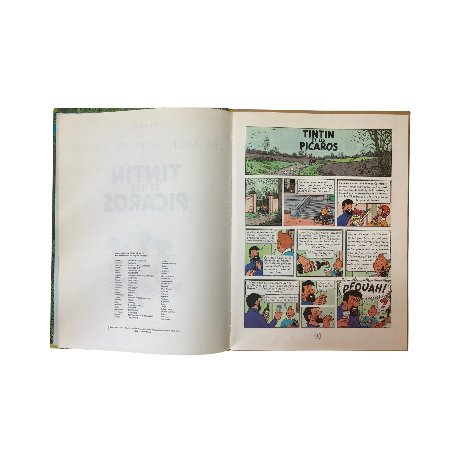 Page de couverture du livre "Les Aventures de Tintin par Hergé : Tintin et les Picaros" avec illustration colorée.