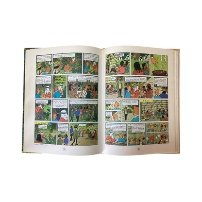 Page de couverture du livre "Les Aventures de Tintin : Tintin et les Picaros" par Hergé, illustrée avec Tintin et ses amis.
