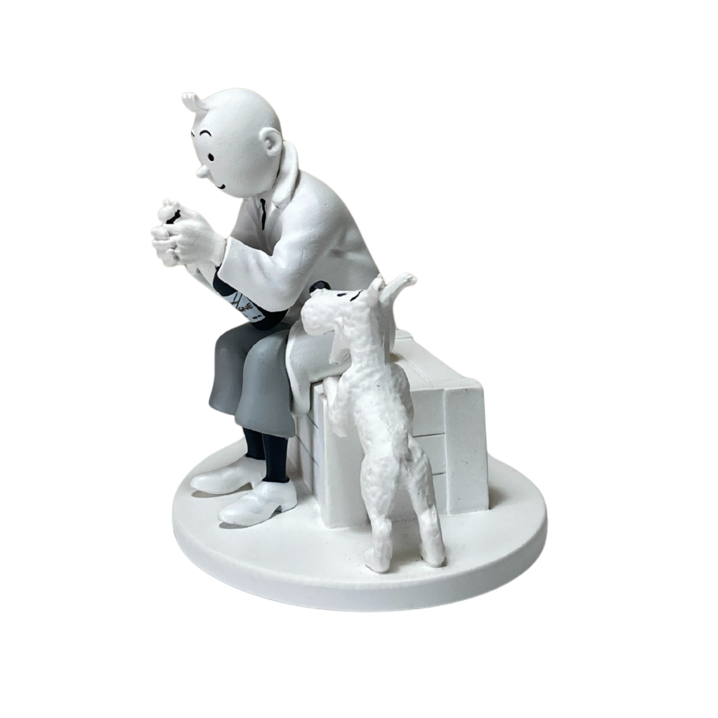 Image de Tintin prisonnier avec Milou sur le pont du Karaboudjan, illustration de la bande dessinée Tintin par Espace714.