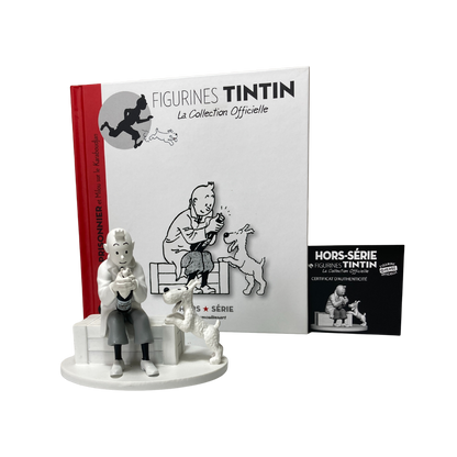 Figure de Tintin prisonnier avec Milou sur le pont du Karaboudjan, figurine de collection Espace714.