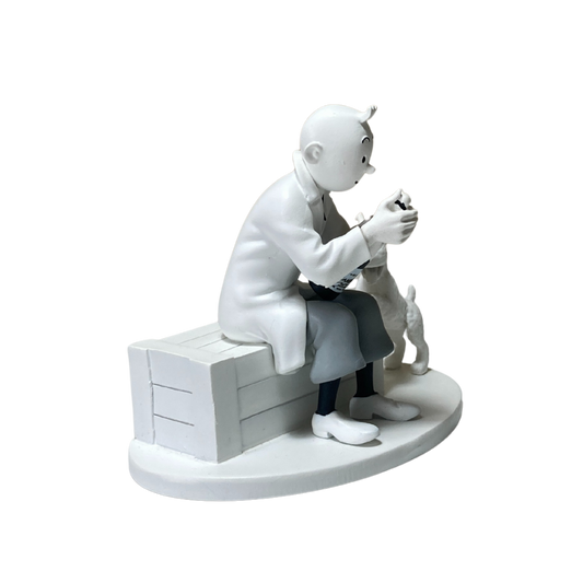 Image de Tintin prisonnier avec Milou à bord du Karaboudjan, illustration de la bande dessinée Tintin par Espace714.