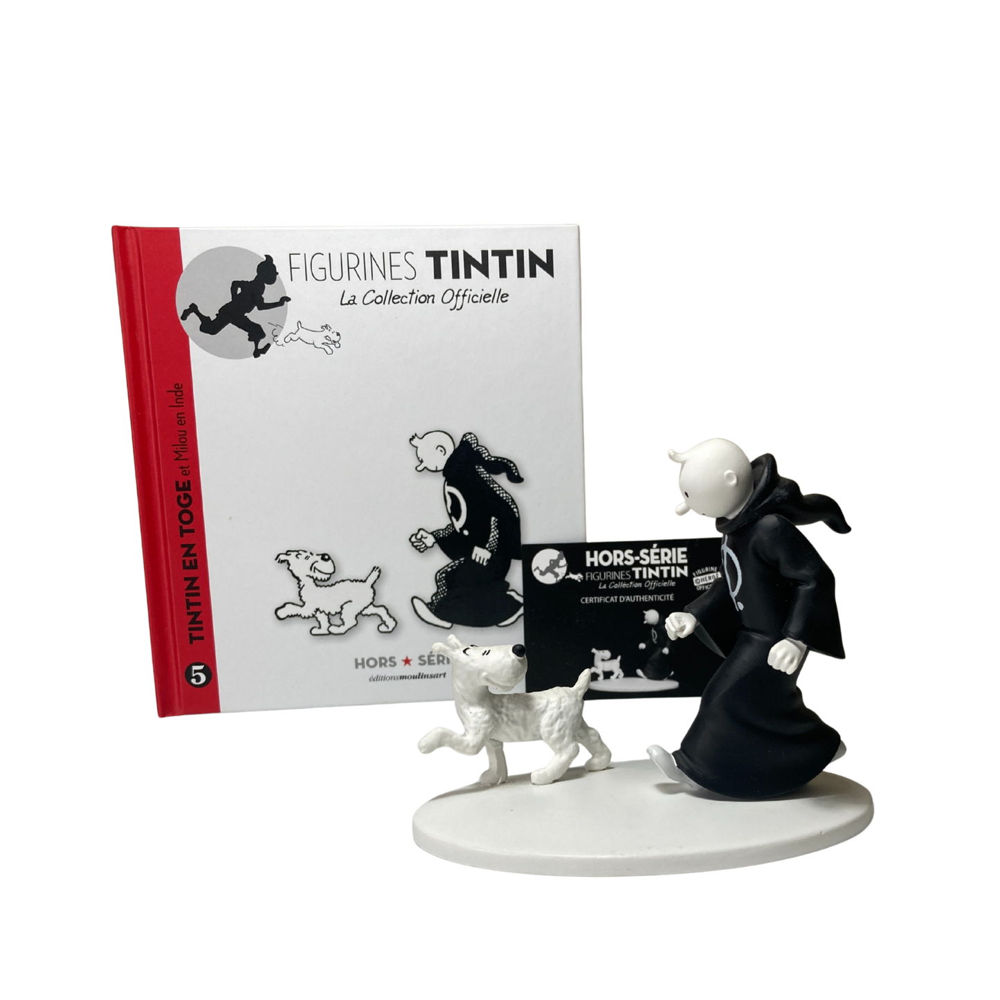 Image de Tintin en toge avec Milou en Inde, illustration colorée de la bande dessinée Tintin par Espace714