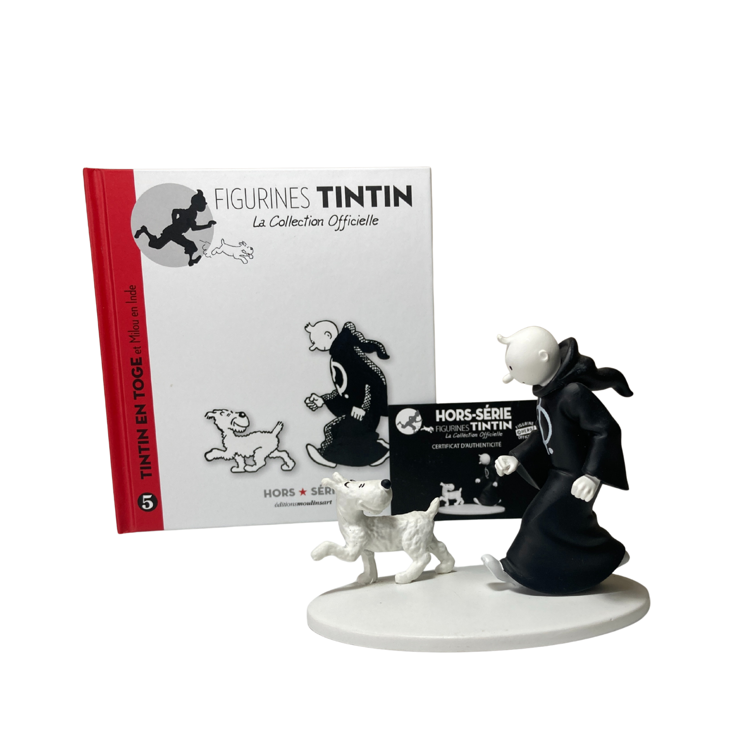 Image de Tintin en toge avec Milou en Inde, illustration colorée de la bande dessinée Tintin par Espace714