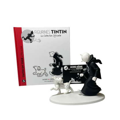 Image de Tintin en toge avec Milou en Inde, illustration colorée de la bande dessinée Tintin par Espace714